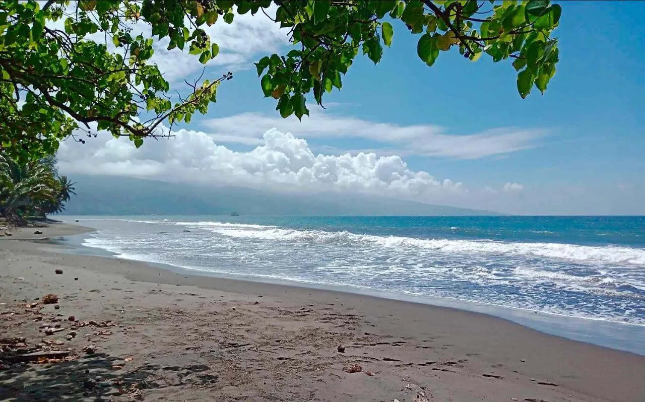 L'Auberge De Jeunesse Tahiti Iti - Beach Hostel Afaahiti
