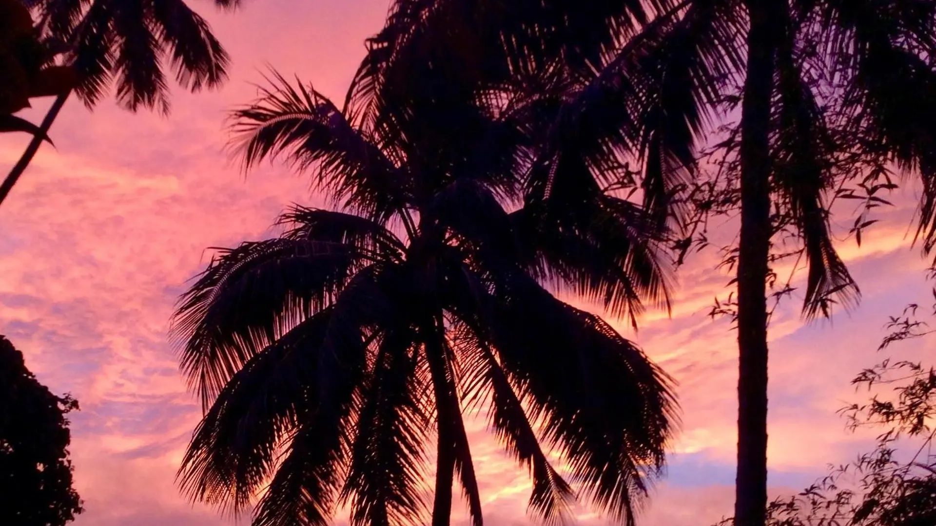 L'Auberge De Jeunesse Tahiti Iti - Beach Hostel Afaahiti