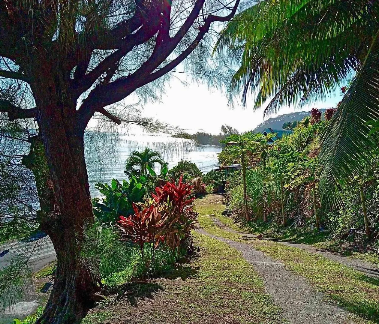 L'Auberge De Jeunesse Tahiti Iti - Beach Hostel Afaahiti