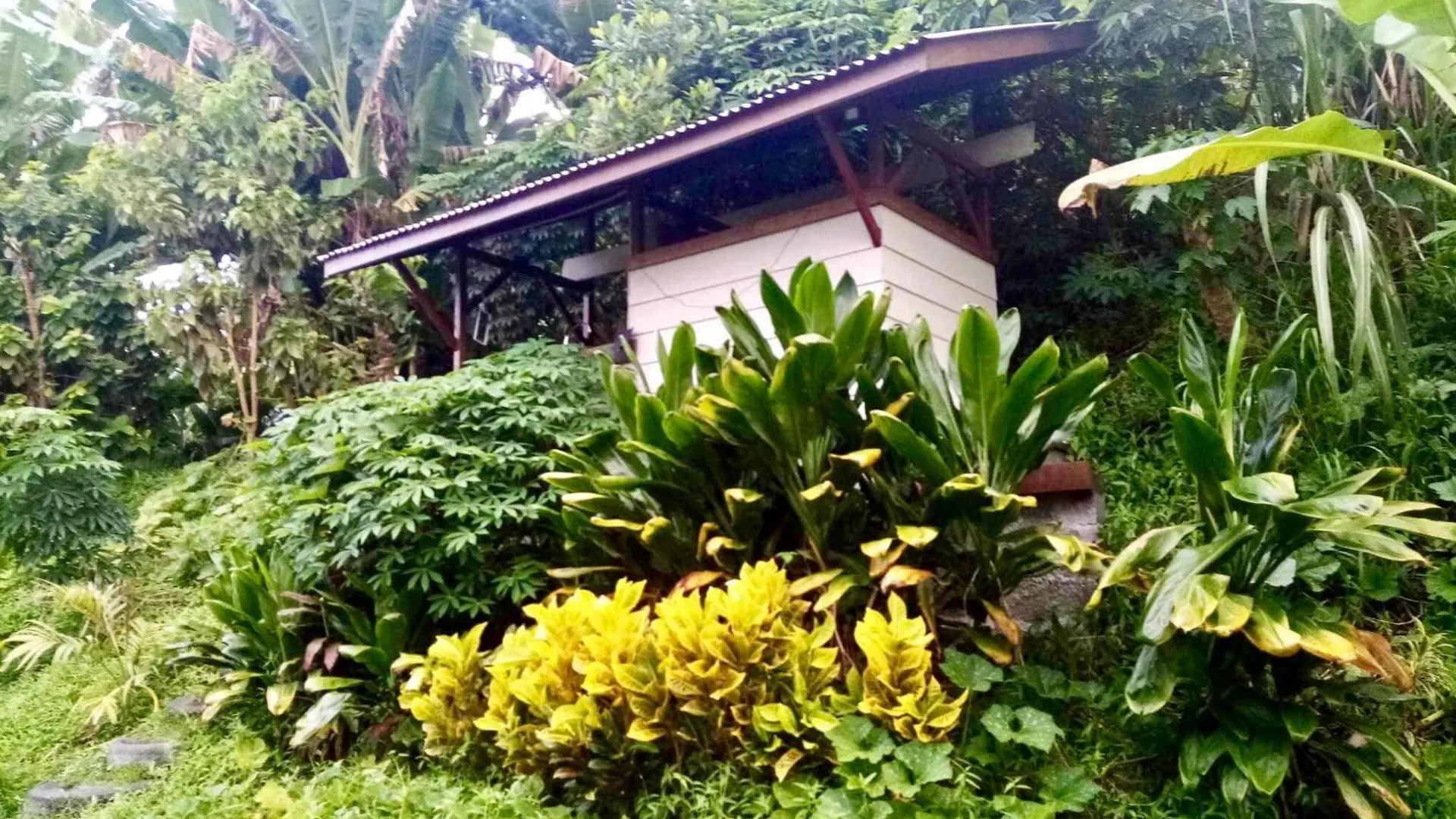 L'Auberge De Jeunesse Tahiti Iti - Beach Hostel Afaahiti French Polynesia